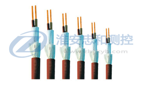 氟塑料绝缘和护套耐高温电缆